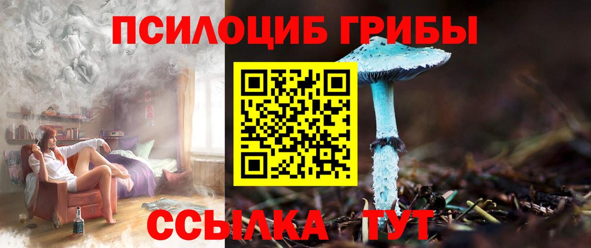 Галлюциногенные грибы прущие грибы Кохма